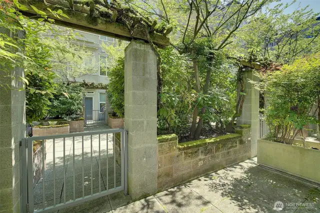 Back patio