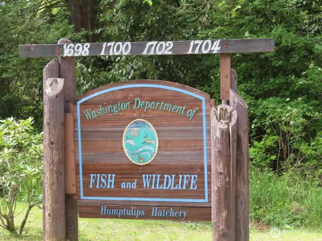 Humptulips Fish Hatchery 1 mile away Hot Fishing Spot