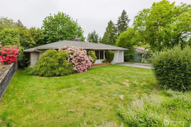 vibrant display of spring blooms and established landscaping.