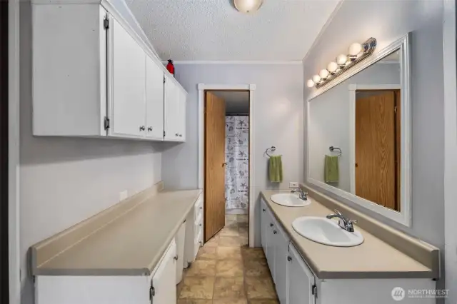 Plentiful bathroom storage (primary bedroom)