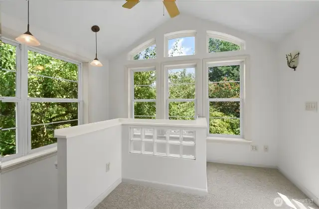 Nice sunroom addition. It could be an office or a youtube backdrop.