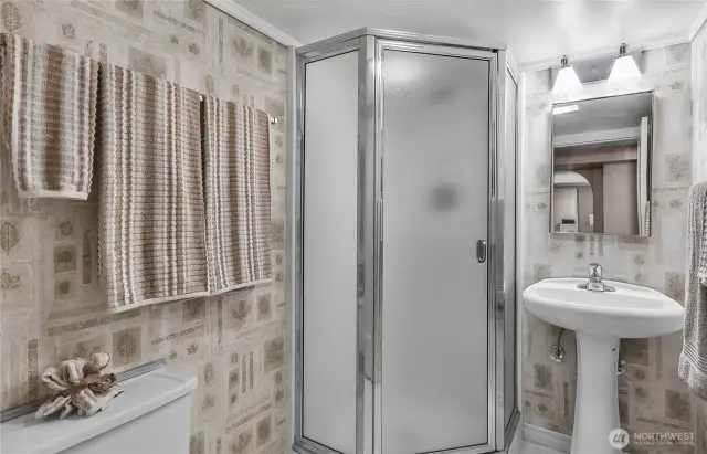 Lower level 3/4 bath