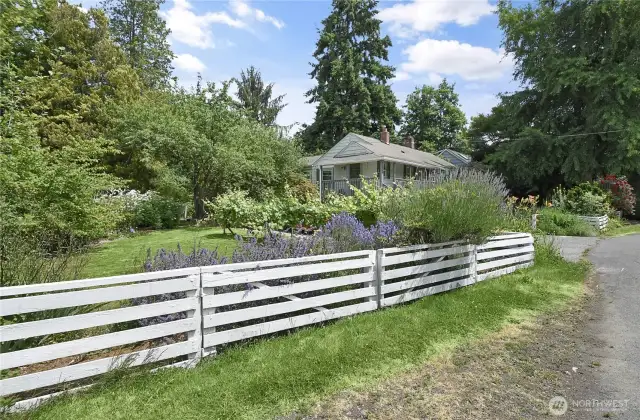 Wonderful side yard has good sun. This lot is a gardener's delight. Apples, cherries, raspberries, grapes, maybe even some blueberries. This 12,000 square foot lot has room for all kinds of things.