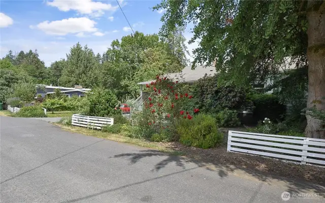 This is a short street, really less than a block long, zero through traffic. Charming with red roses and a white fence.