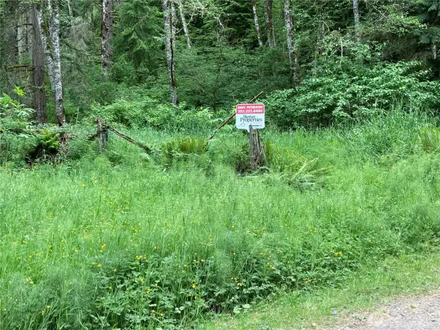 This is the property -- designated forest land.