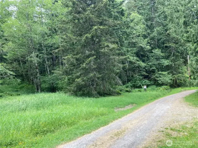 A look at the road coming in from the security gate.
