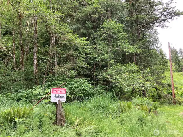 The property ends just before the telephone pole to the right, and extends back to the left.