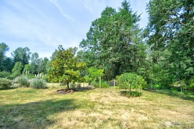 View of back yard
