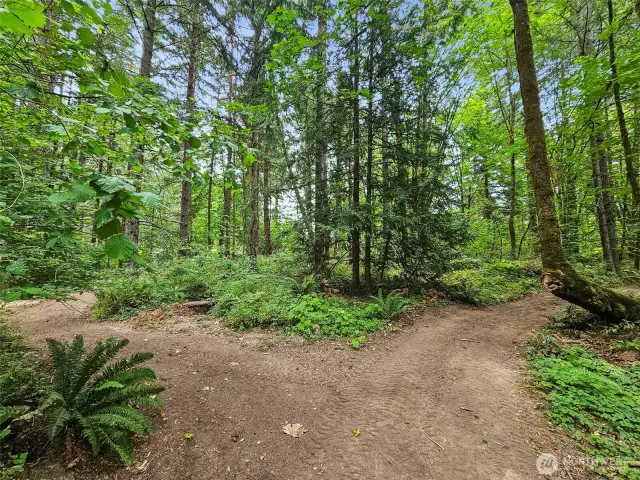 Trails at the back of the property.