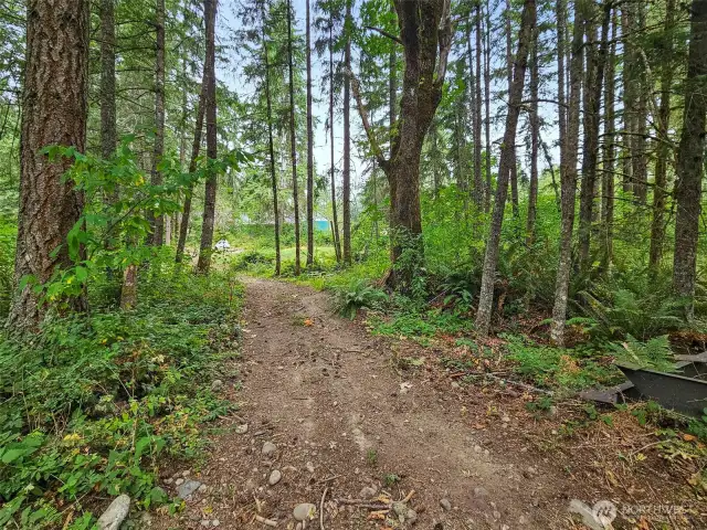 Trails great for ATVs, dirt bikes or just enjoying a stroll around the scenic property.