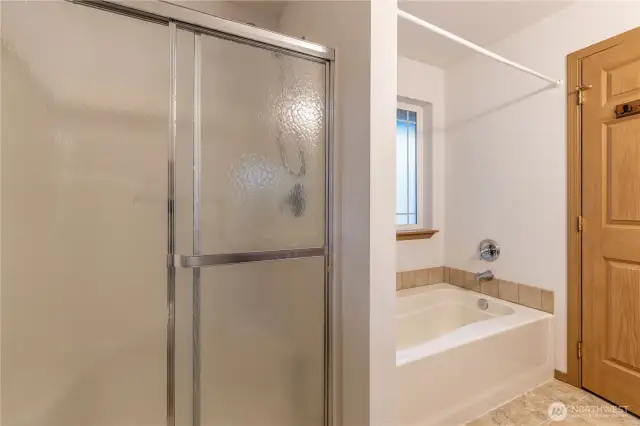 Primary bath with shower and bathtub