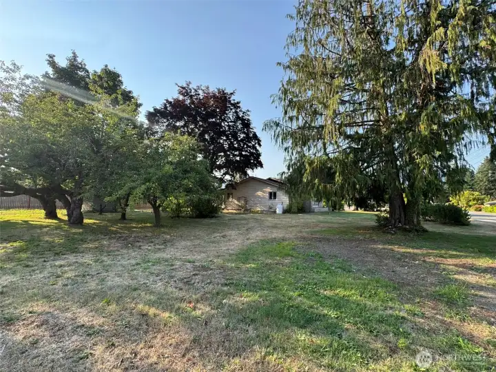 View of the original 5 city lots looking back at the home.