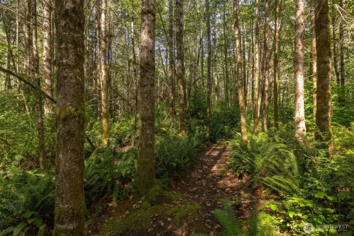 Step out your back door and into the woods. Meandering trails wind through tall trees and native ferns, offering space to breathe, move, and reconnect.