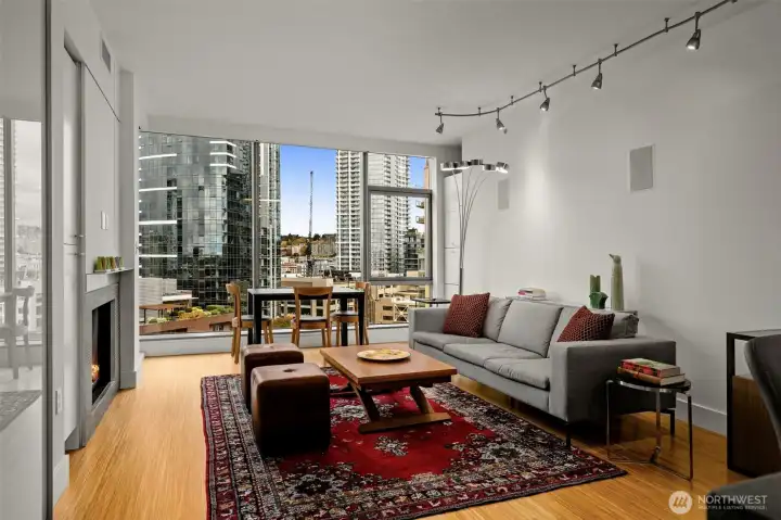 Large living room with even larger view