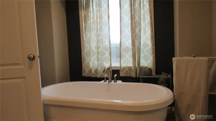 Primary bath soaking tub