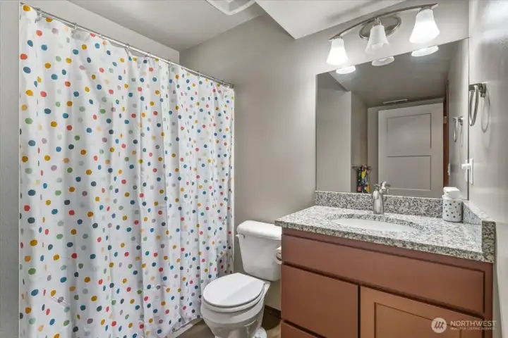 Lower level full bath.