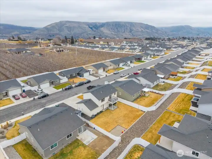 Low maintenance backyard.