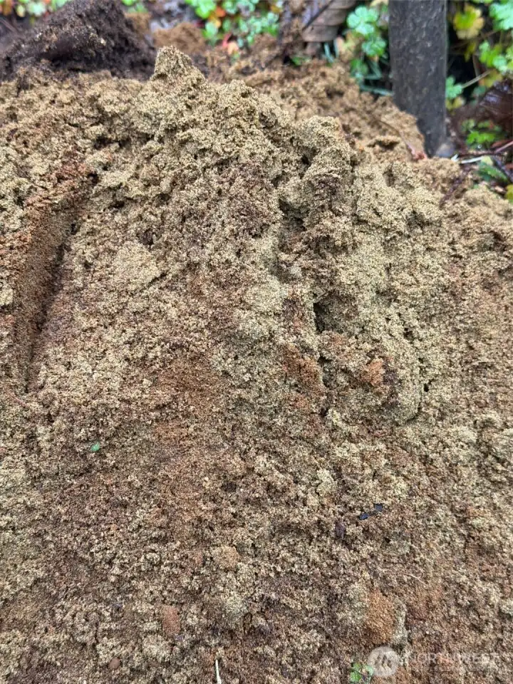 GREAT loamy sand soils!