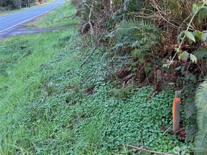 NE corner by Twin Spits road.