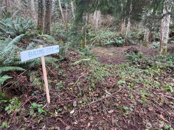 This building site can be expanded based on your design.