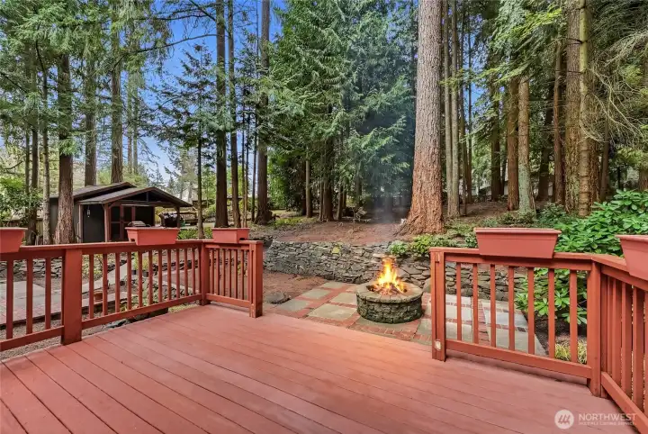 Deck looking across back of plentiful back yard