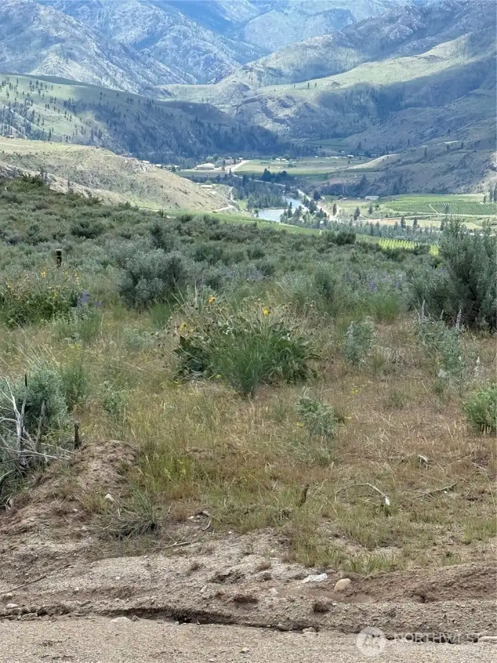 Did you notice the views???