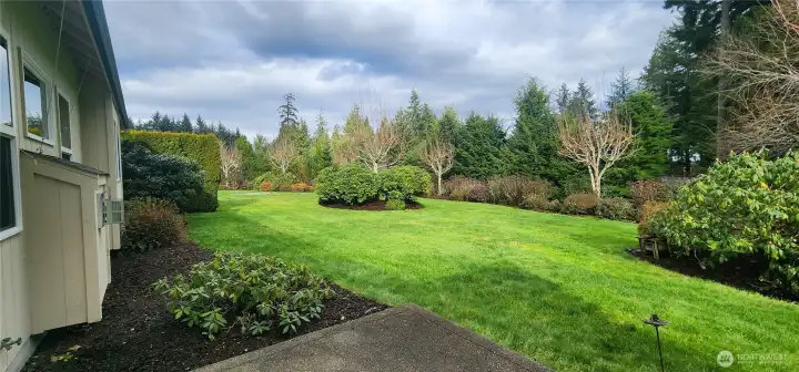 HOA maintained grass