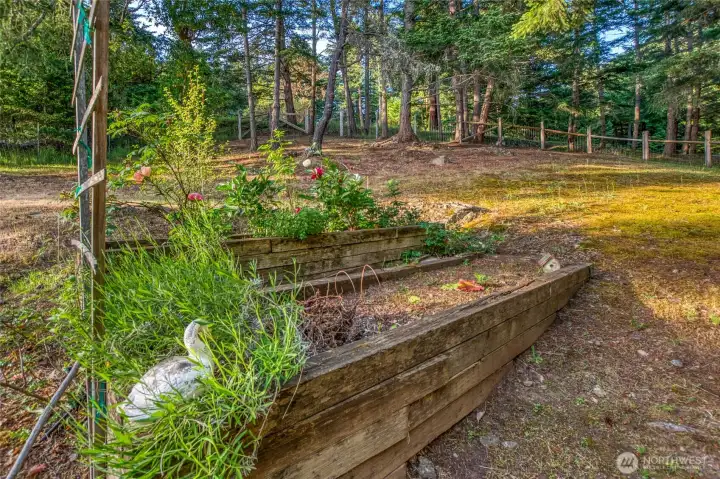 Old raised beds waiting for your flowers and veggies