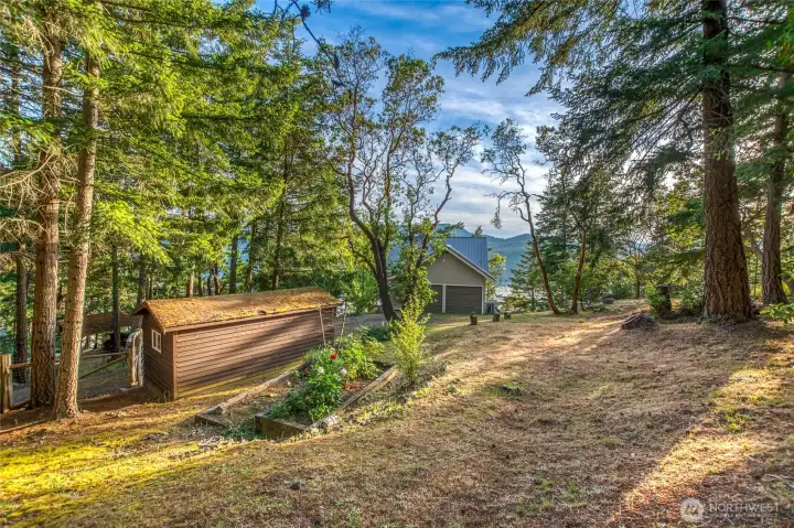 Shed, home, and peace