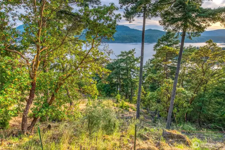 Boundary line goes down to the beach.  You control your views and trees