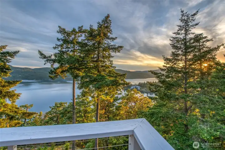 Deck views