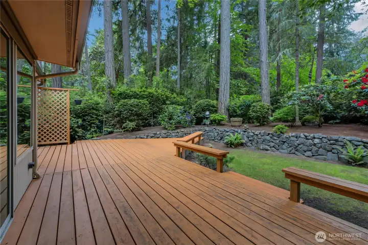 Backyard oasis with expansive deck and natural mature landscaping that is easy to care for and beautiful to look at.