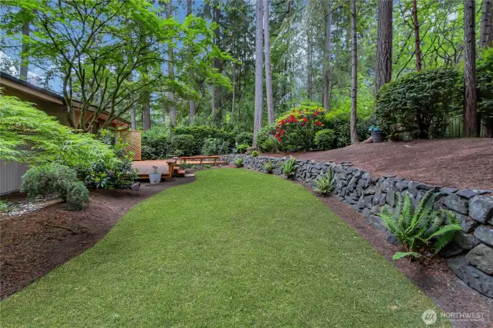 Expansive grass area.