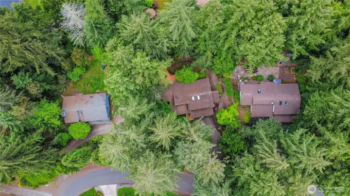 Home is middle setting full of beautiful trees and great privacy.