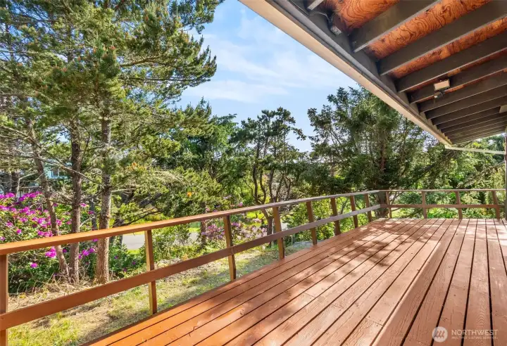 Step onto the south side deck Step onto the south side deck