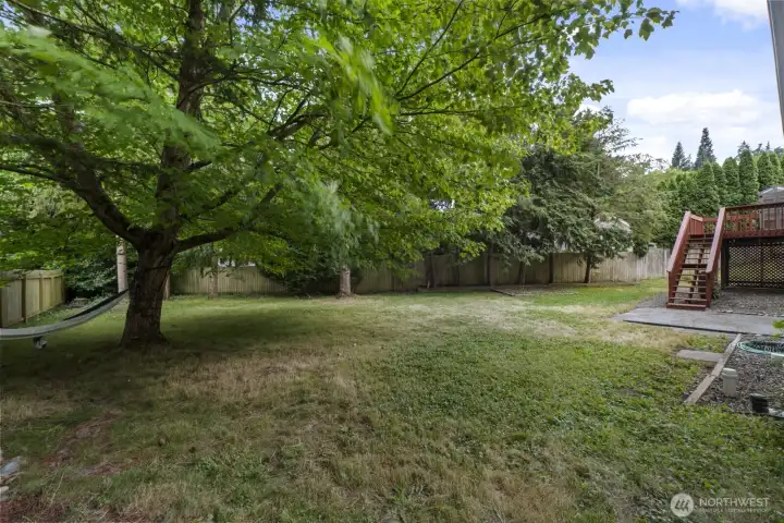 Backyard Backyard