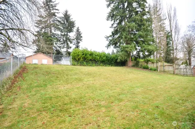 Look at all of this YARD SPACE !!!!  Lots of possibilities here....