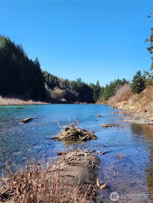 Cowlitz River