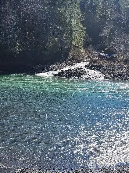 Cowlitz River