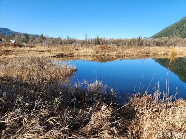 Pond on corner of property