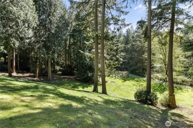 The slopped hill (the sledding hill), trail and enclosed gardening space through the trees.