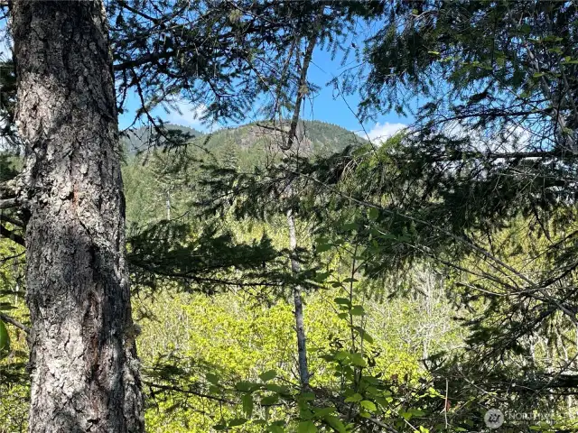 Local mountains