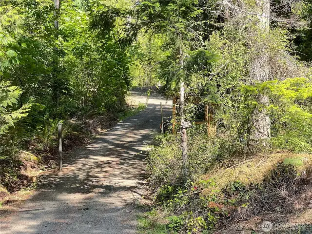 Entry driveway