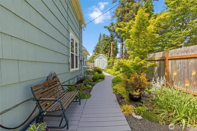 Pathway to the back of house and shed.