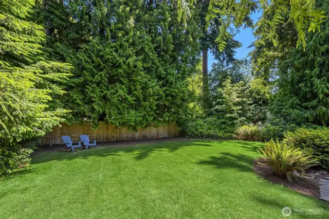 View of back yard facing south