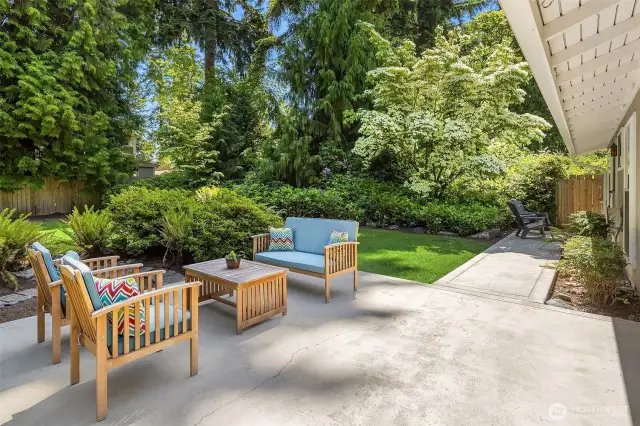 Back patio