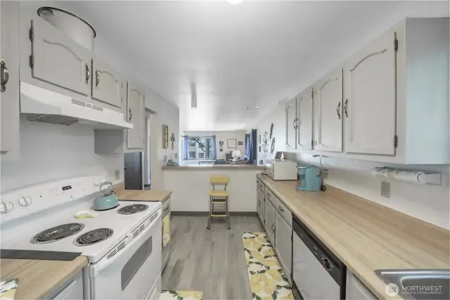 Kitchen 1