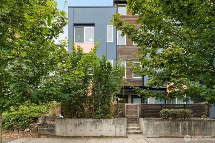 Trees and bamboo add privacy to east side of home.