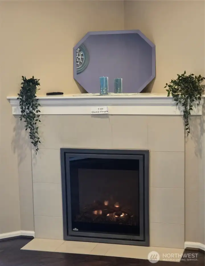 Easy Cozy electric Fireplace to enjoy on cool winter nights.