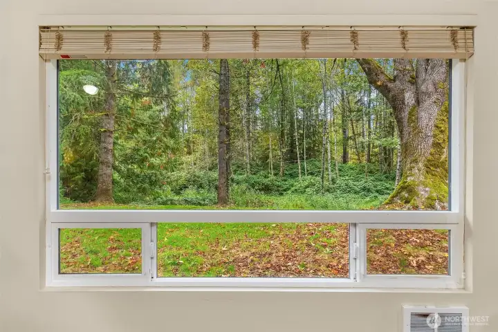 Gorgeous view from the living room window.